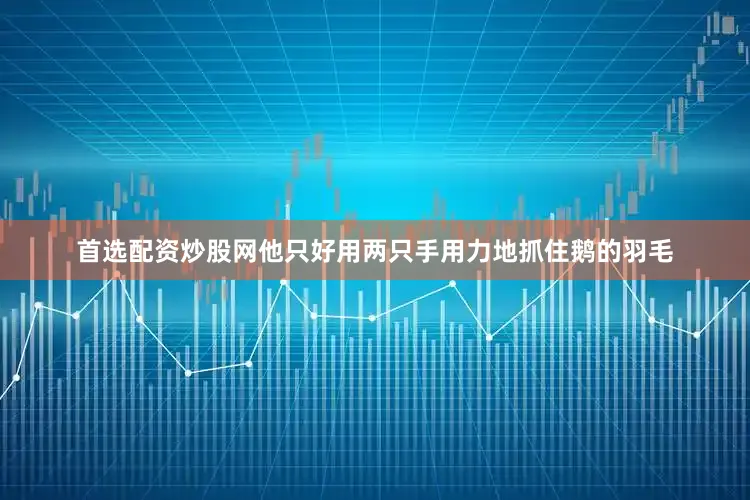 首选配资炒股网他只好用两只手用力地抓住鹅的羽毛