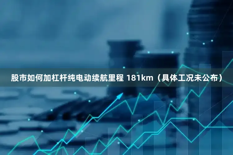 股市如何加杠杆纯电动续航里程 181km（具体工况未公布）